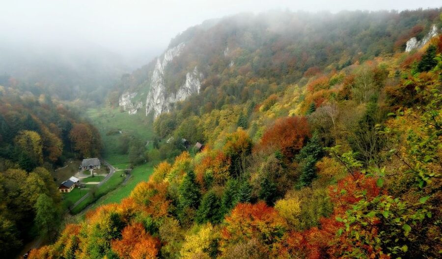Ojcow National Park: Full-Day Trip from Krakow - How the 7 hours actually feel, and how to plan your comfort