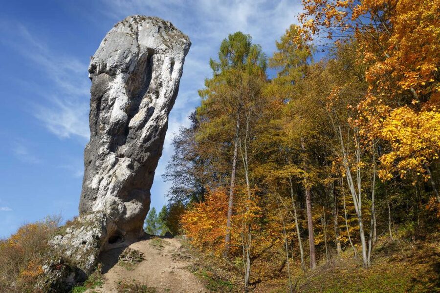 Ojcow National Park: Full-Day Trip from Krakow - Price and value: what you pay for and what it saves you