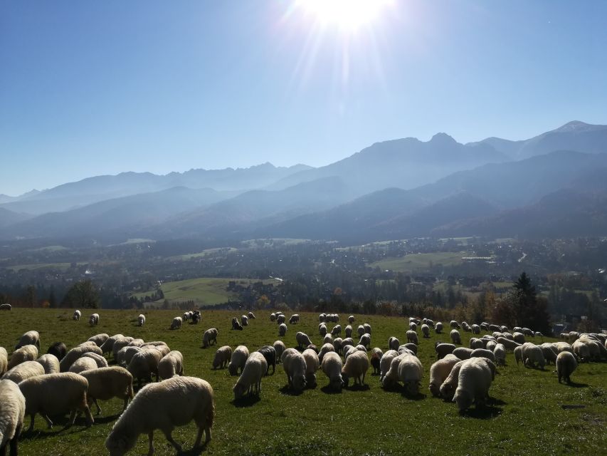 Rafting on Dunajec & Zakopane Tour – Day Trip from Krakow - Cheese Tasting in Pieniny: The Quick Local Start