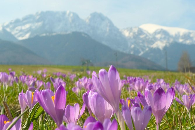 Zakopane and Tatras Mountains Day Tour from Krakow - Zakopane’s Podhale Wooden Style: More Than Souvenirs